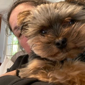 Meet your Posher, Tiffany